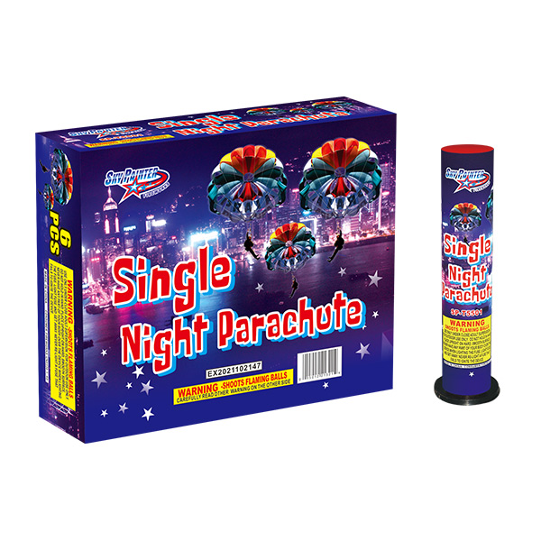 SINGLE NICHTPARACH···